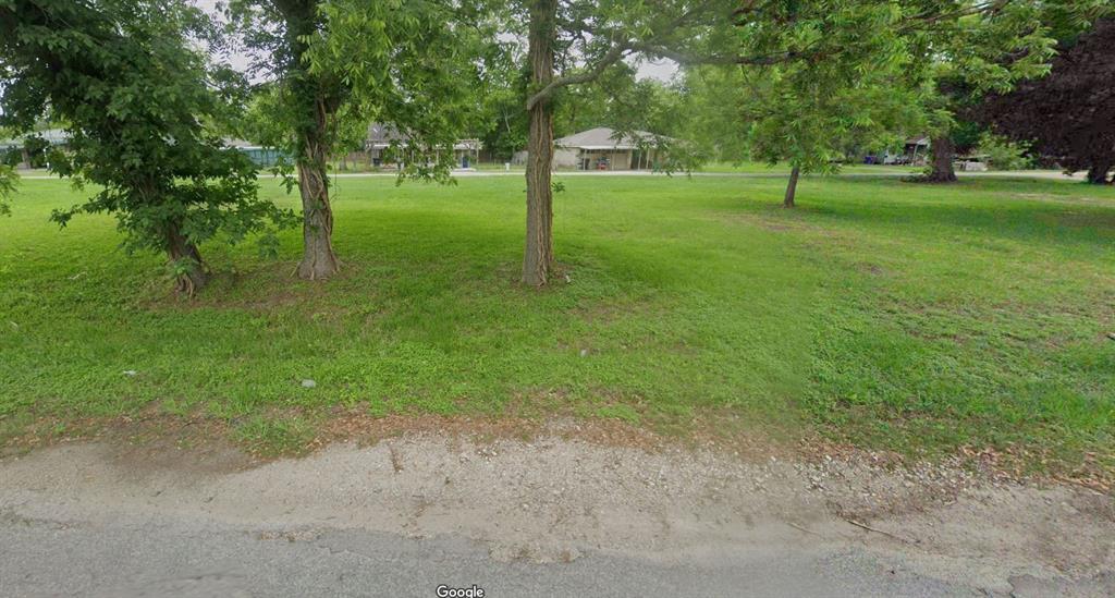 a view of a park with large trees