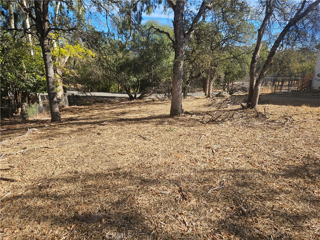 a view of road and trees