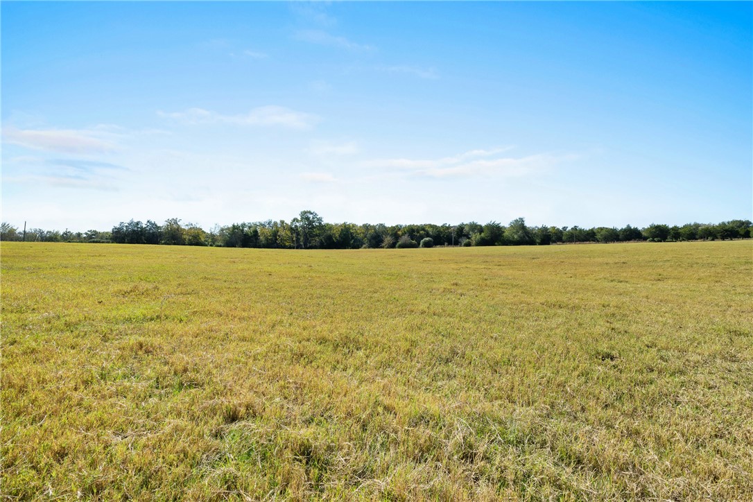 View of nature featuring a rural view