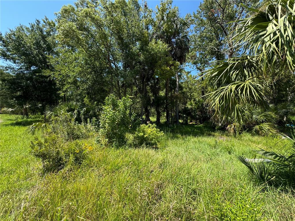 a view of outdoor space