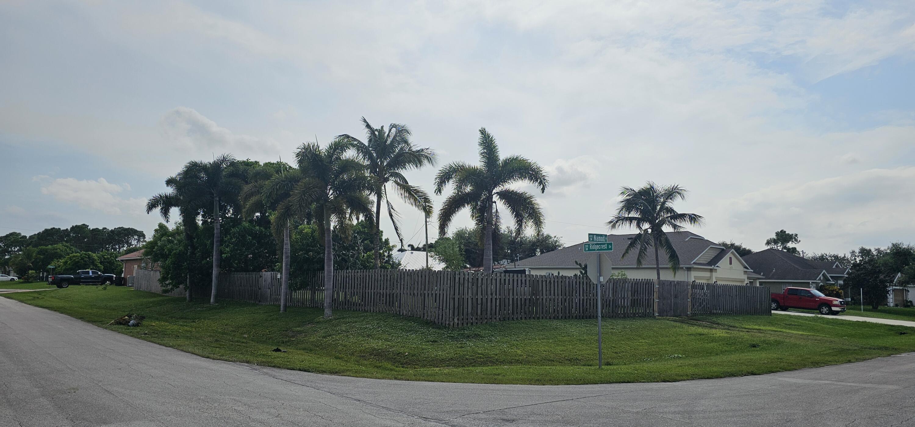 a view of a backyard with palm trees