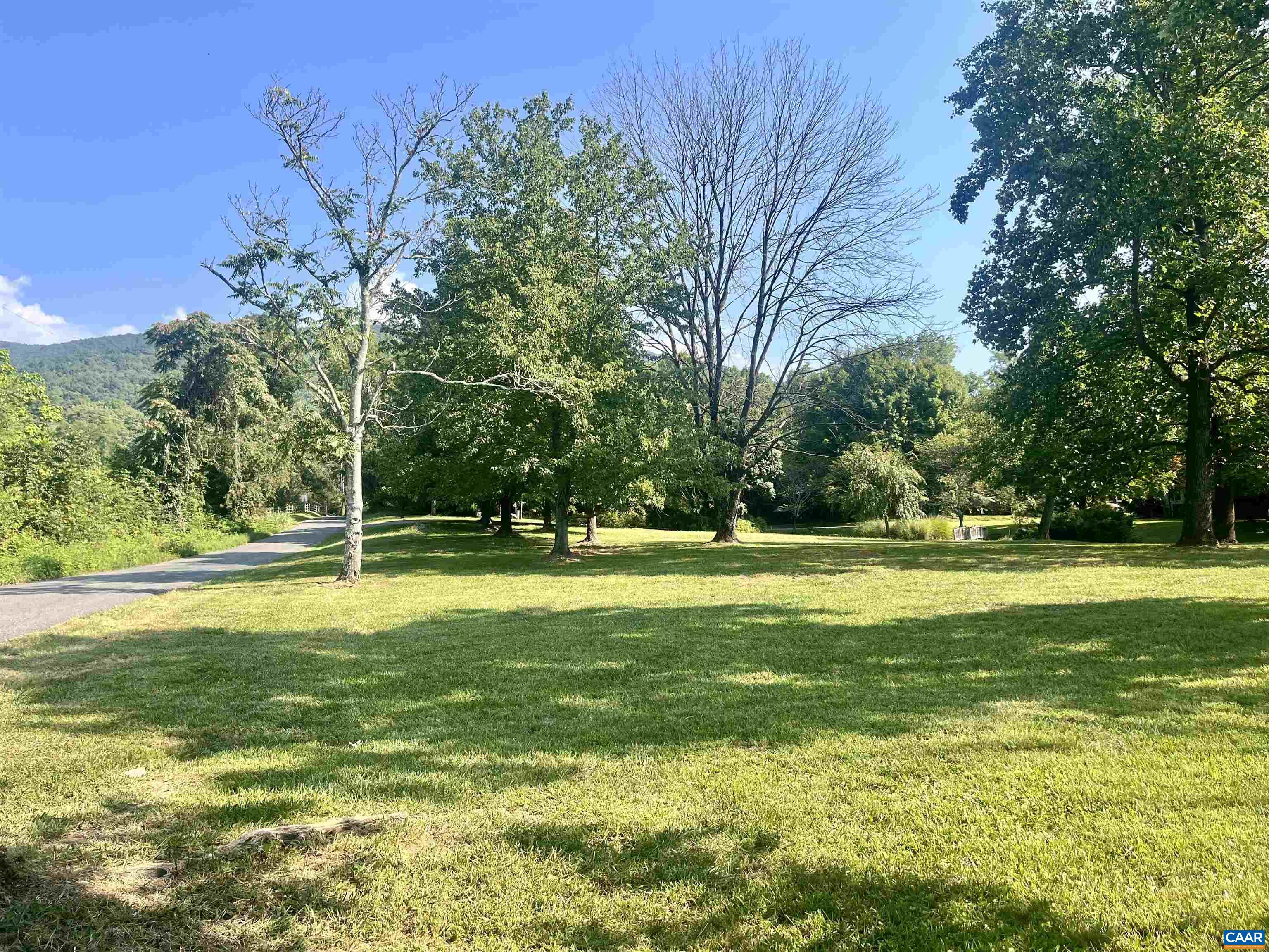 a view of a swimming pool with a big yard and large trees