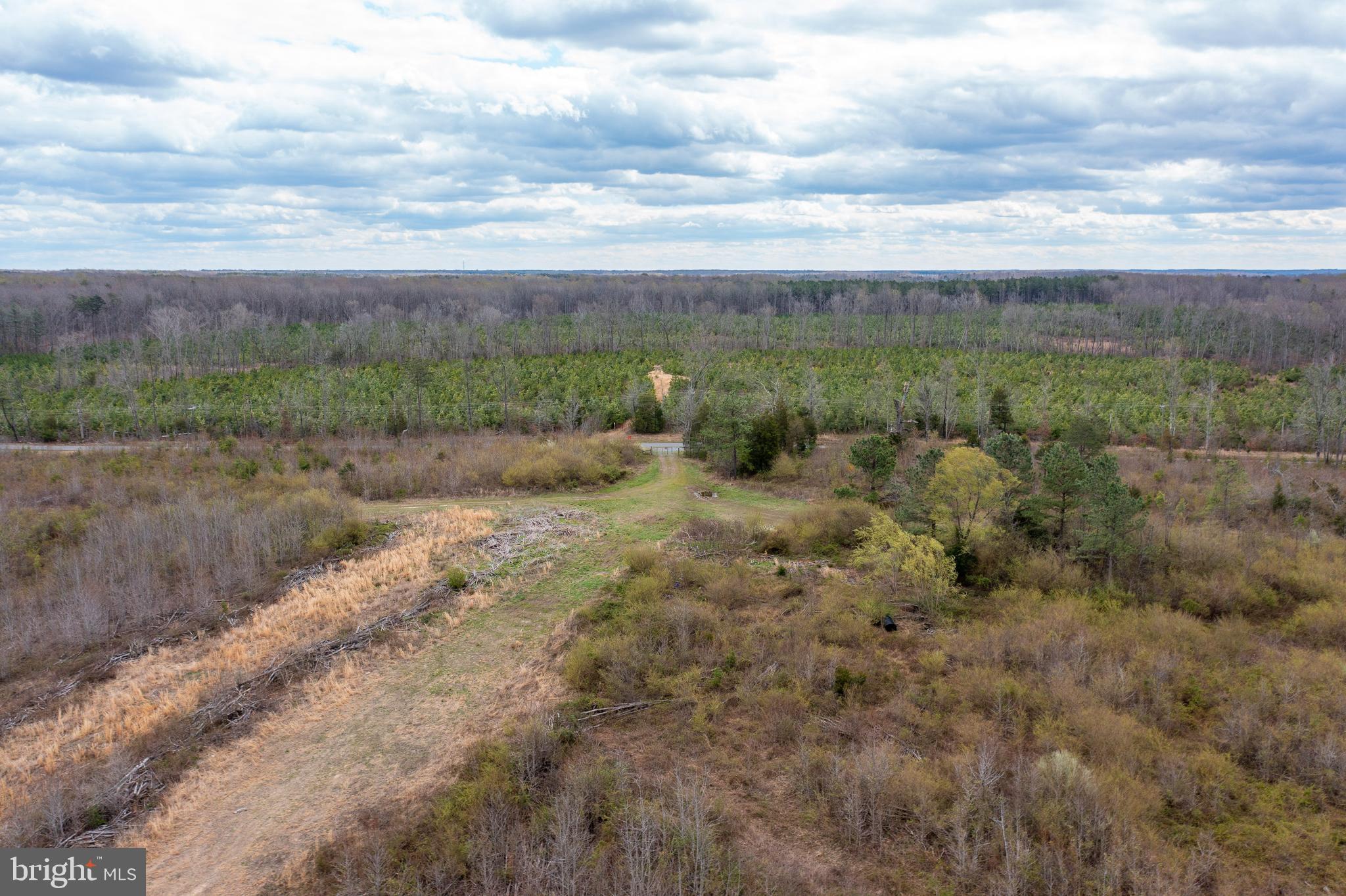 a view of a dry yard with trees