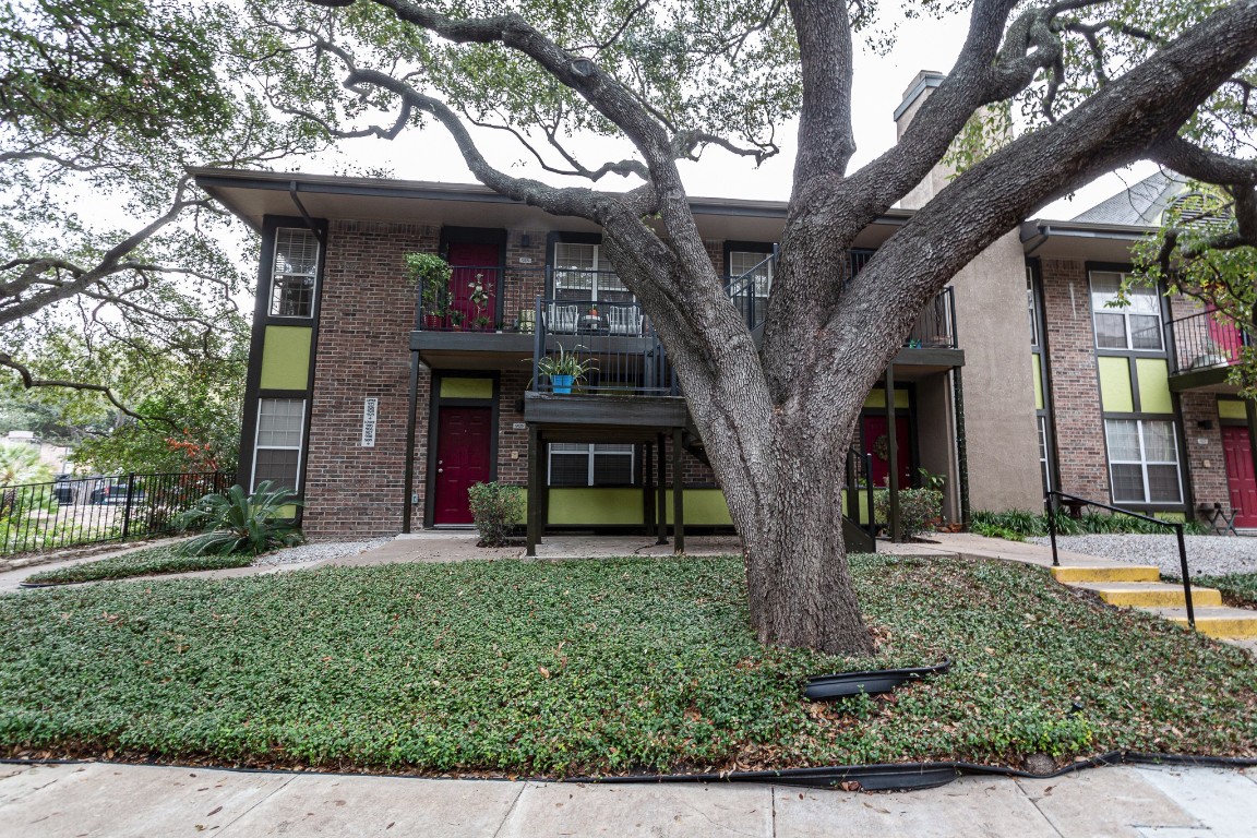 a view of a trees in front of a house