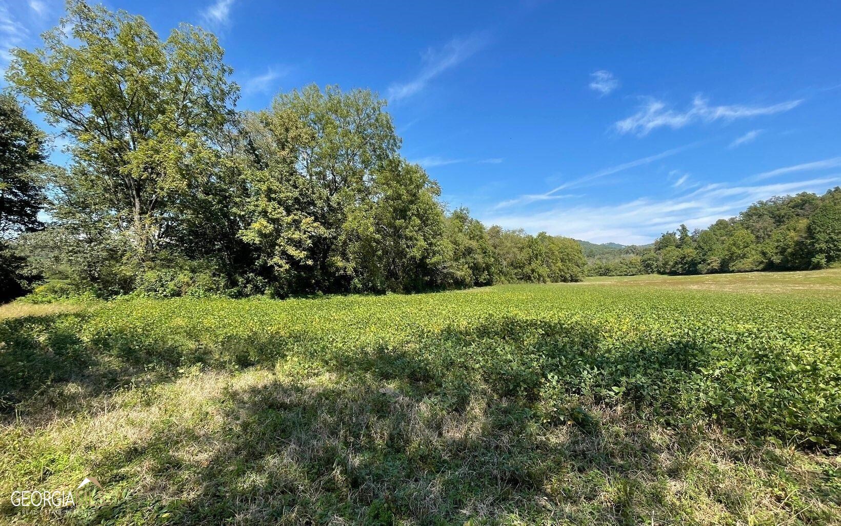 a view of a green field with wooden fence