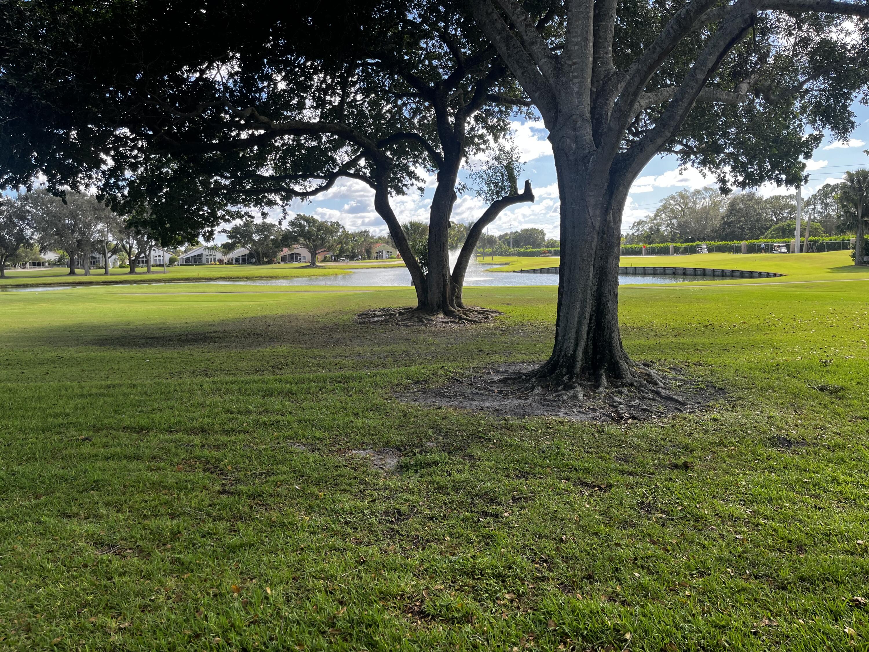 View from back deck