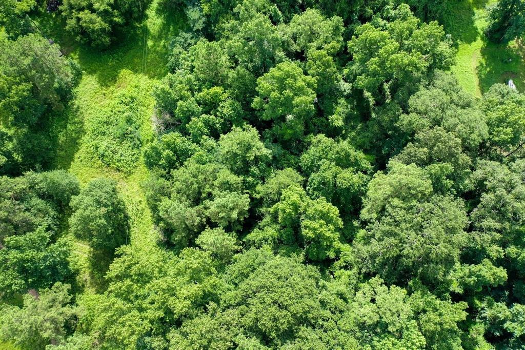 an aerial view of a forest with houses