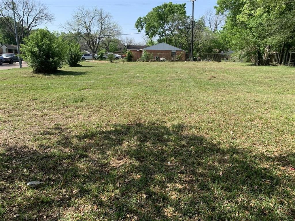 a view of a tree in a yard