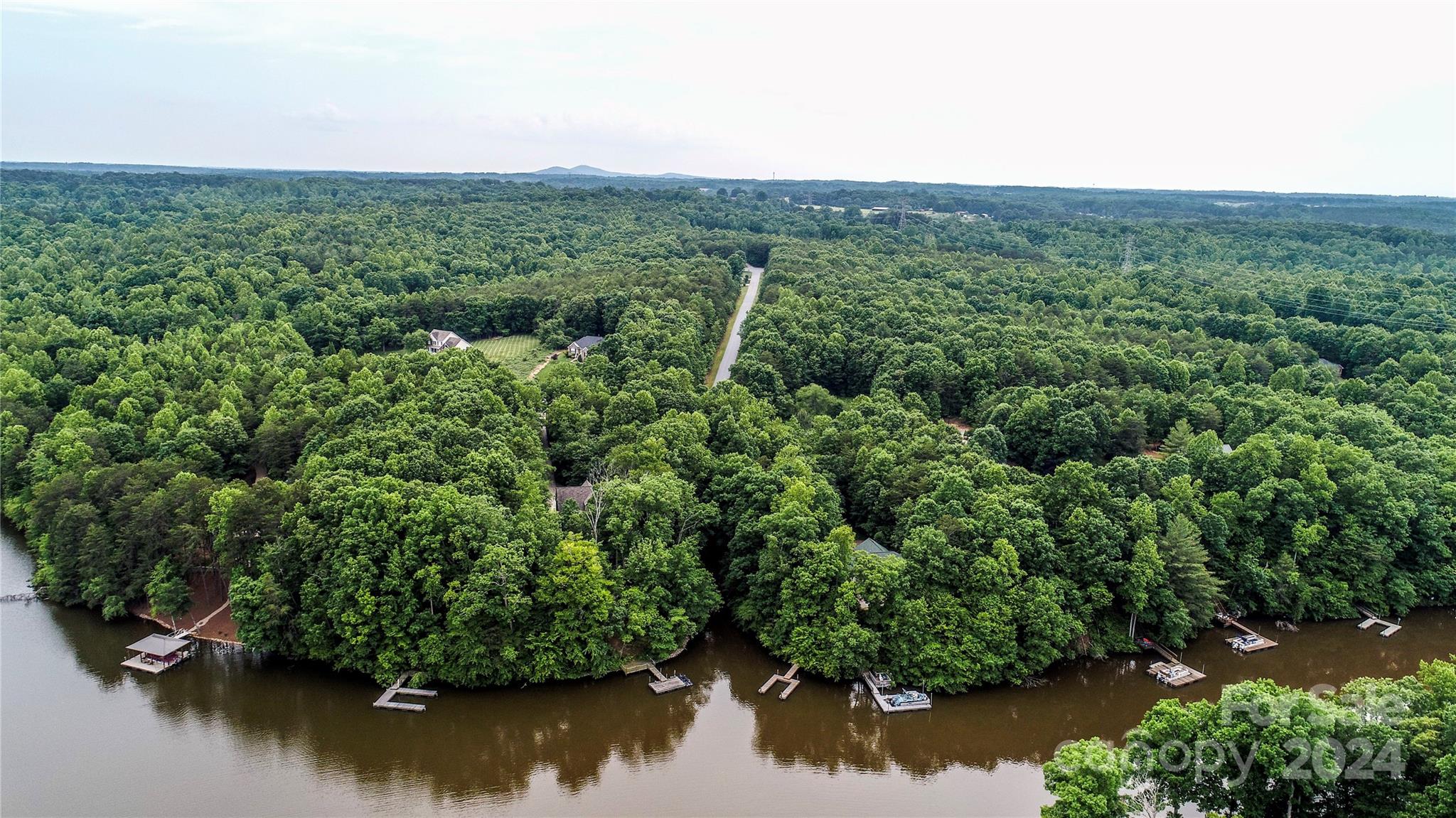 an aerial view of green landscape with trees houses and lake view