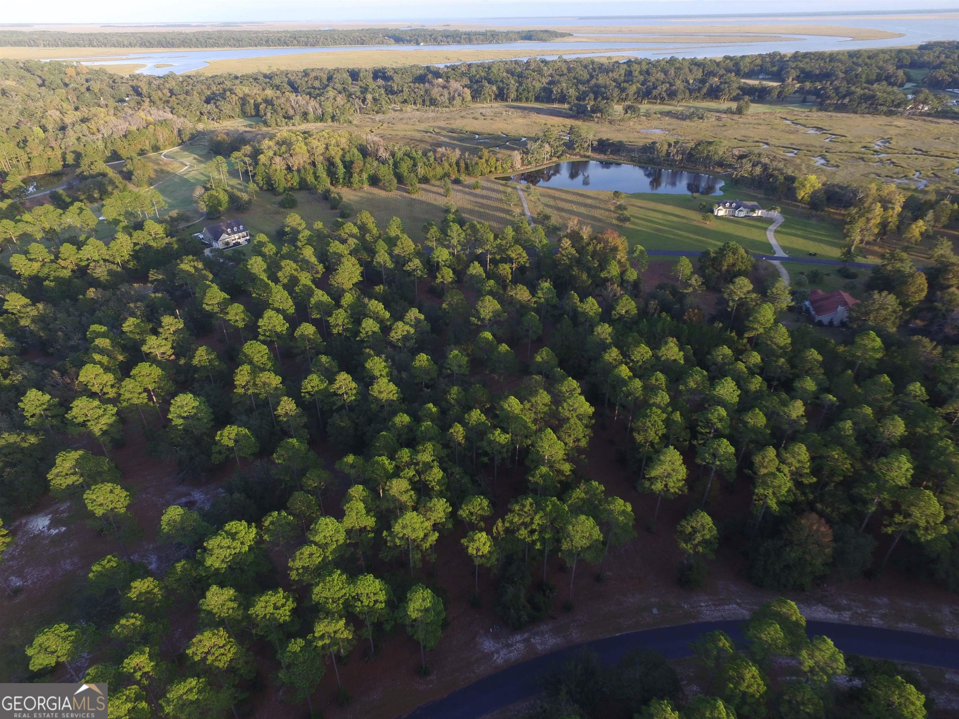 an aerial view of residential houses with outdoor space and trees