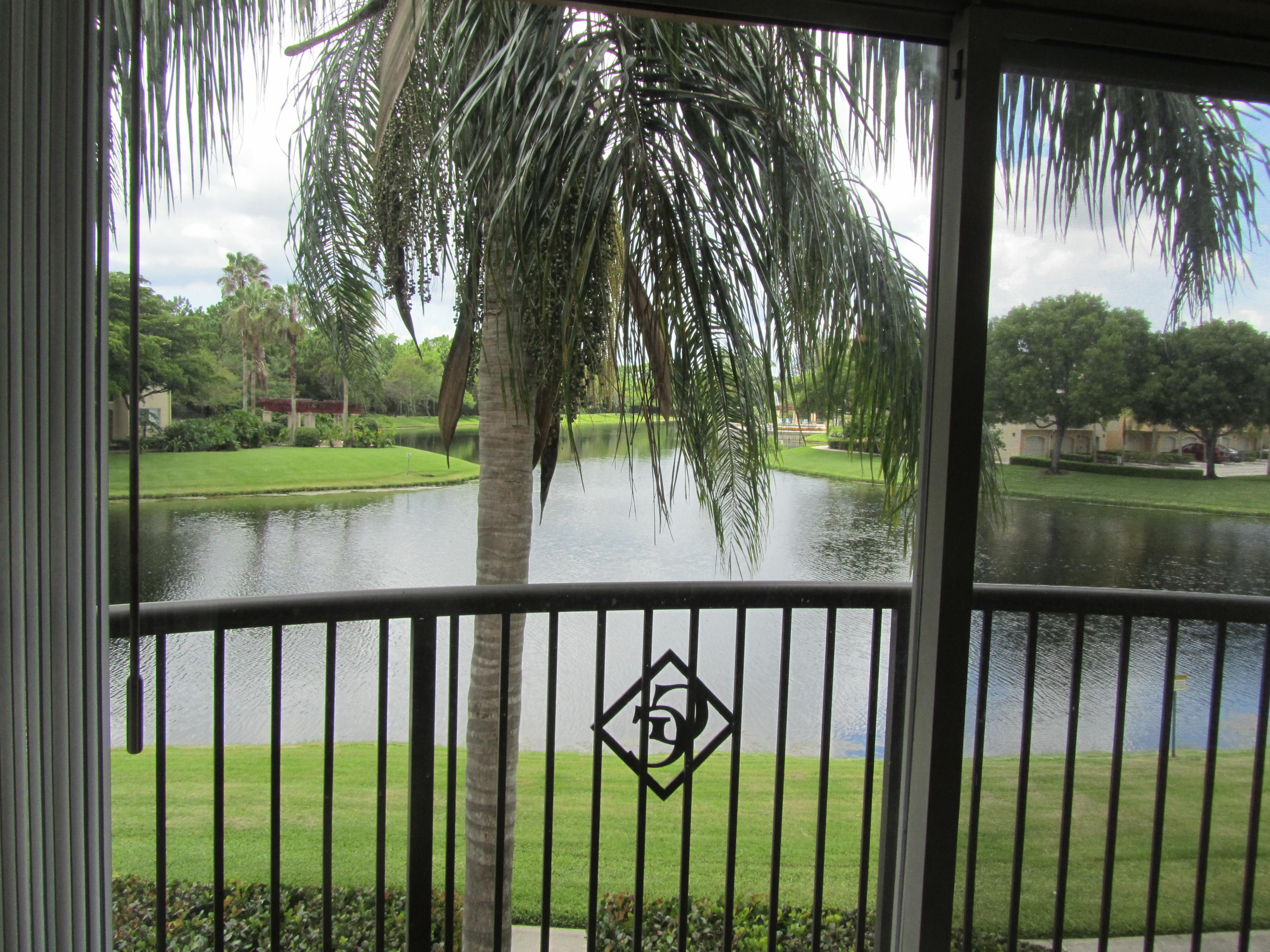 a view of a backyard with large trees and wooden fence