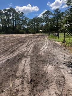 a view of dirt yard