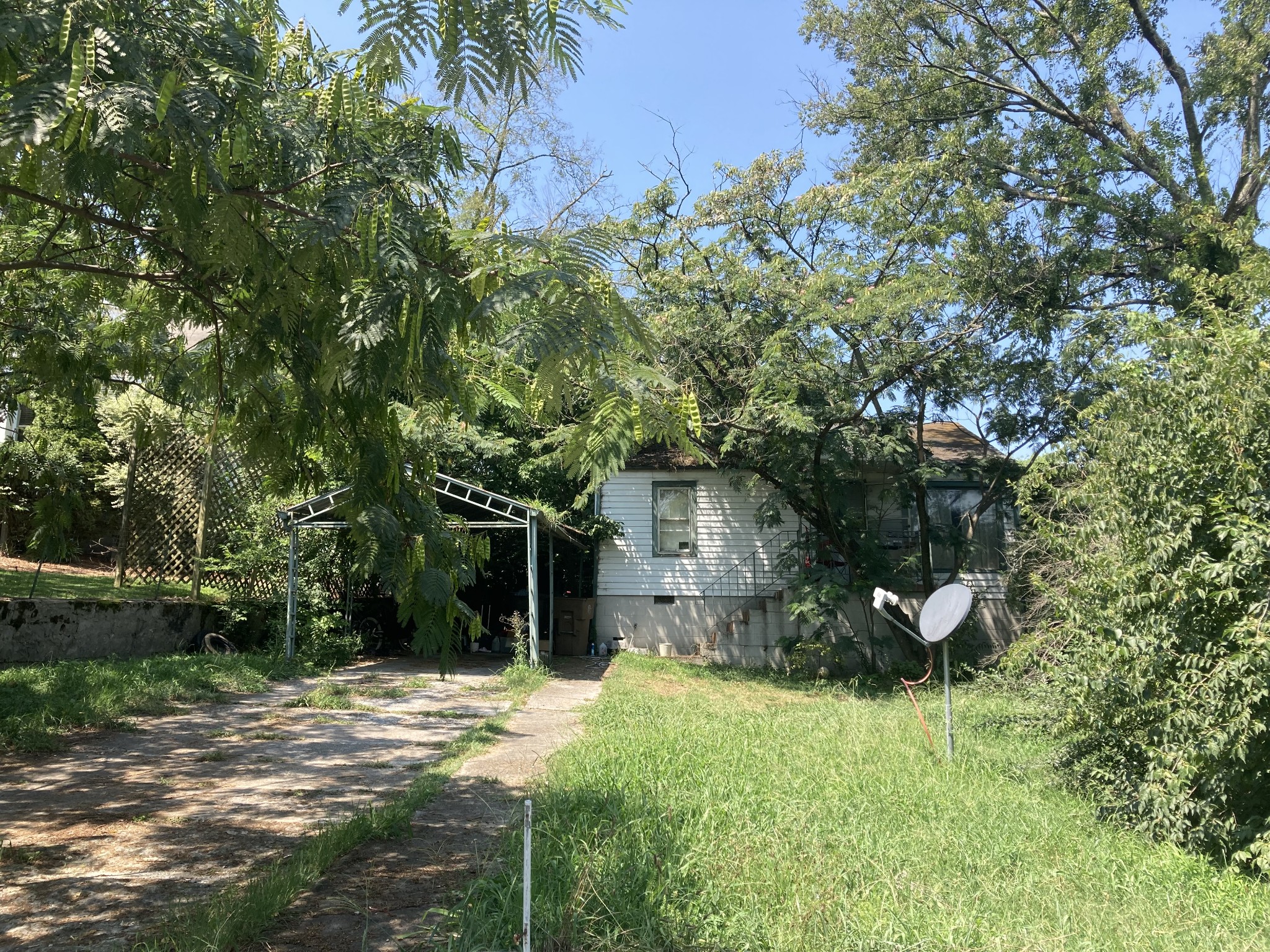 a backyard of a house with plants and tree