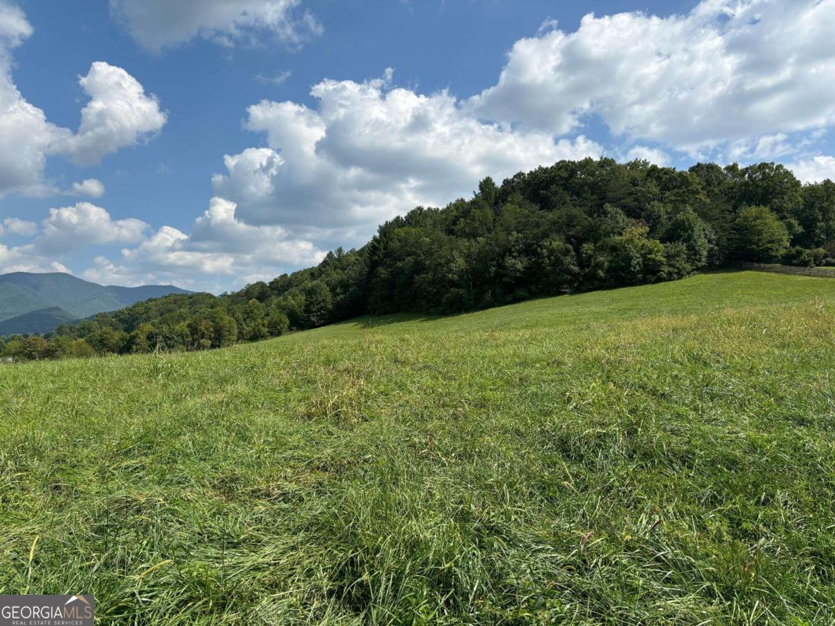 a view of a grassy field with trees in the background