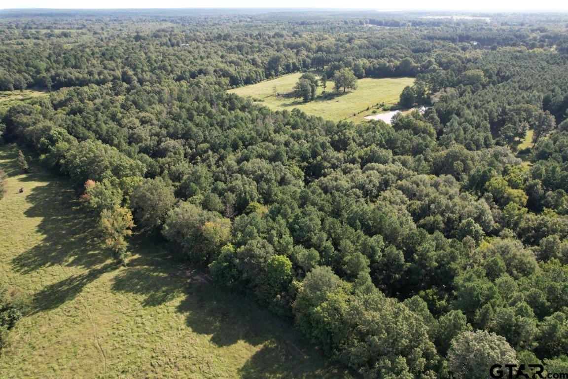 an aerial view of residential houses with outdoor space and trees