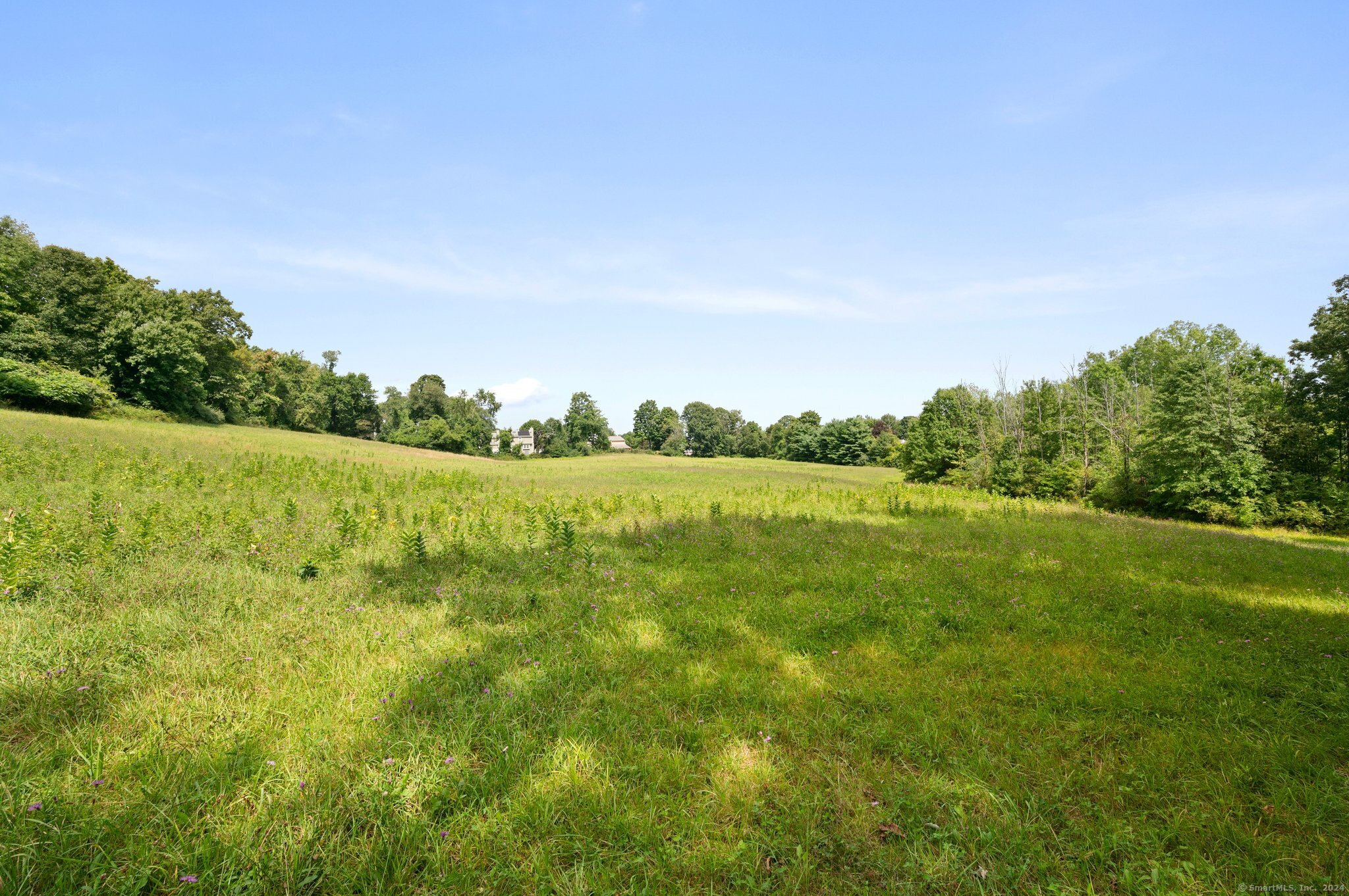 a view of a green field with trees in the background