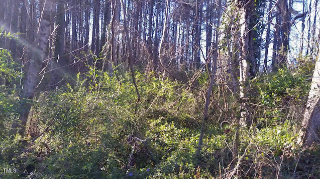 a view of a plants with a tree