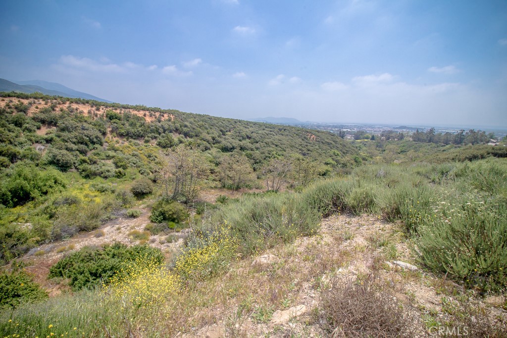 a view of a field with trees in the background