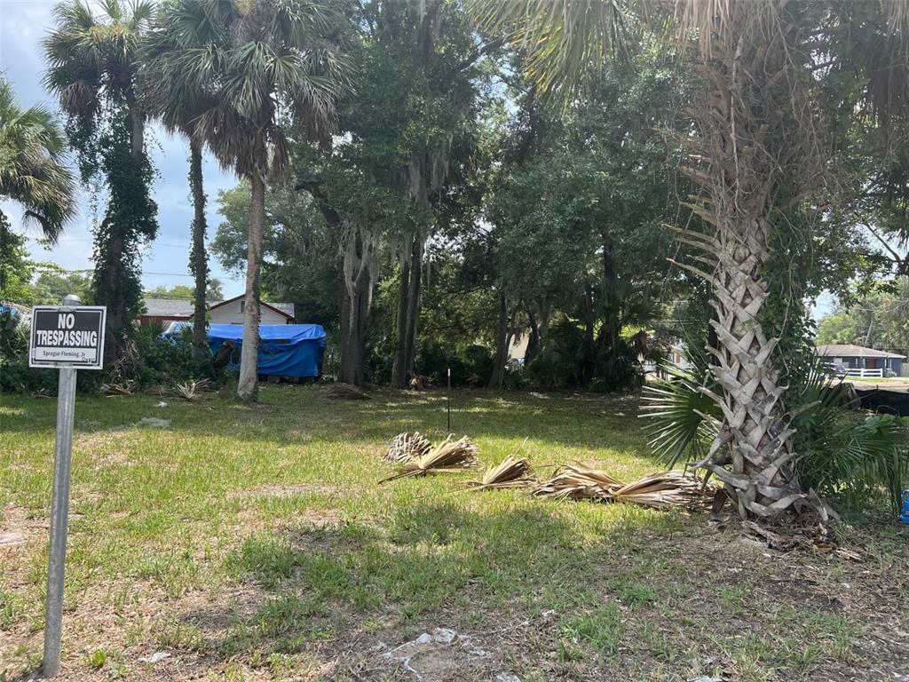 a view of backyard with swimming pool