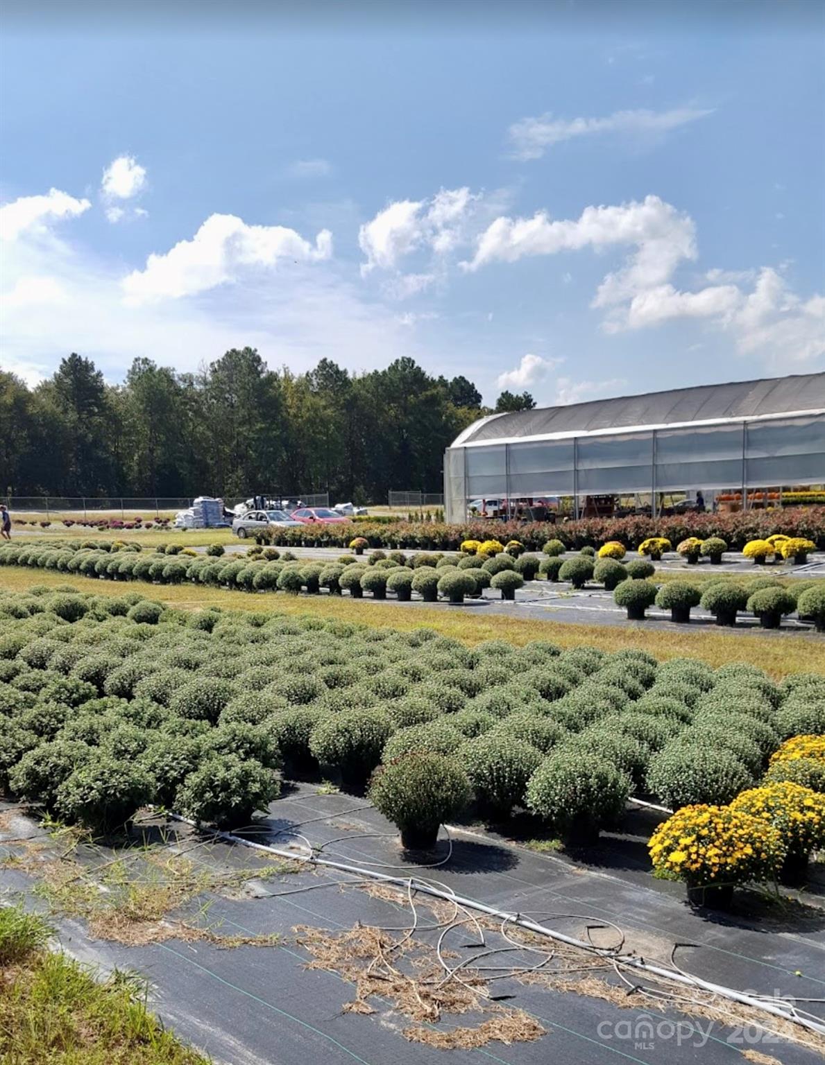 a view of an outdoor space