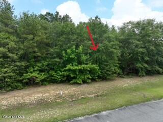 173 Deer Pointe Drive Lot 9