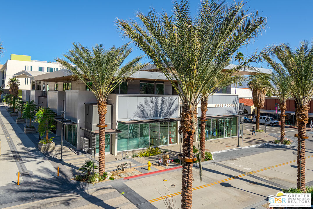 a palm tree sitting in front of a building