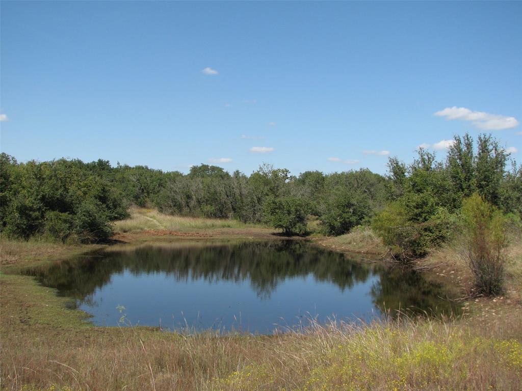 a view of a lake in middle of forest