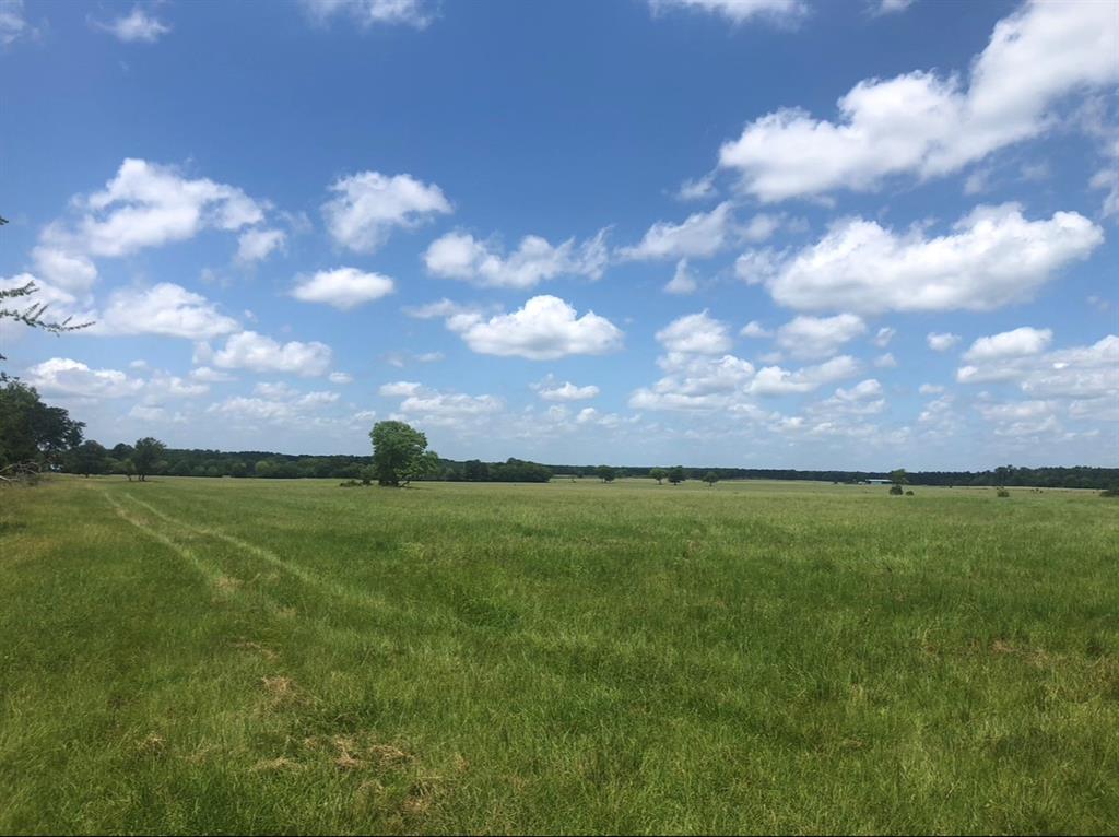 a view of a lake and a yard