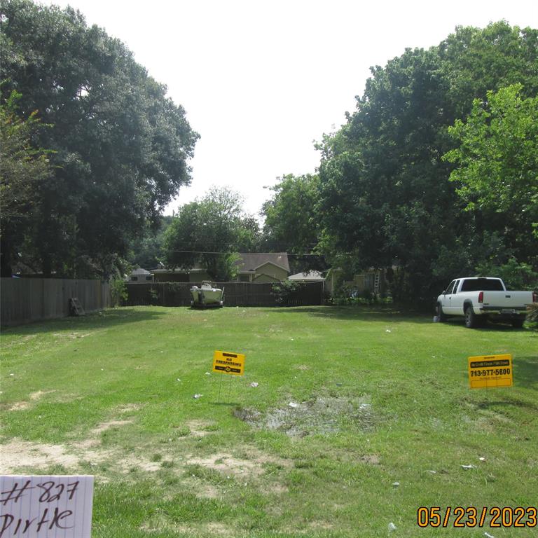 a view of a backyard with tall trees