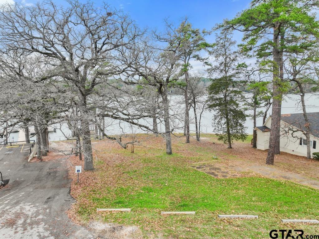 a view of yard with tree in the background