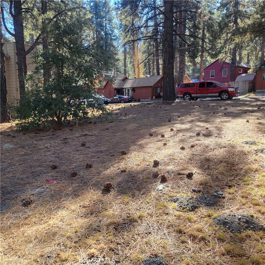 a view of a yard with large trees