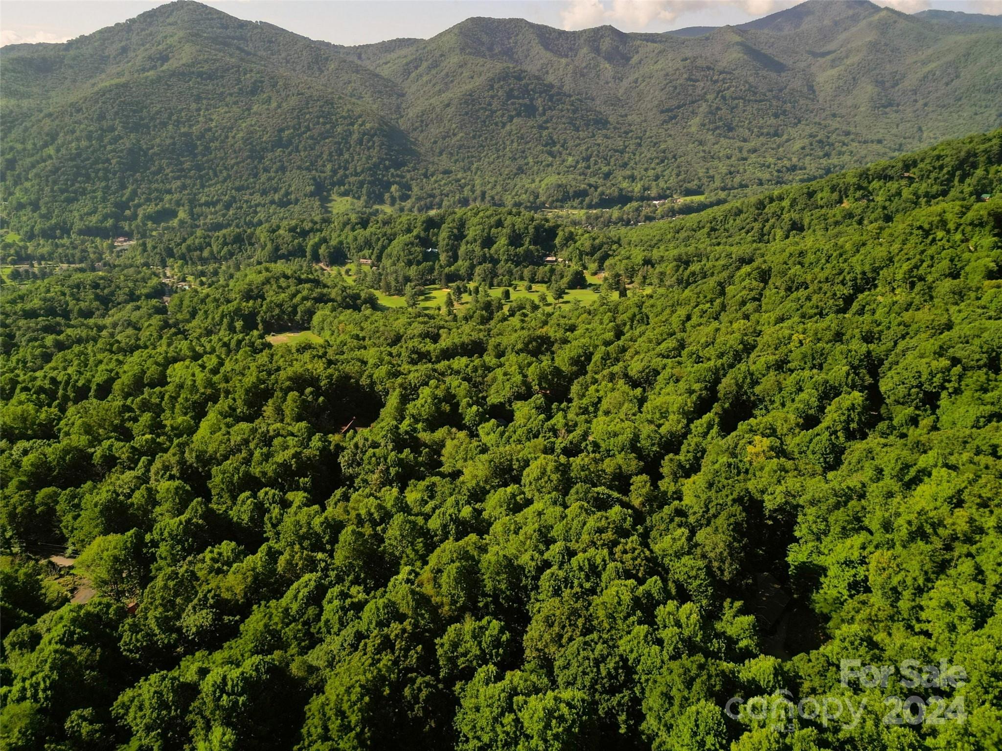 a view of a lush green forest with a house