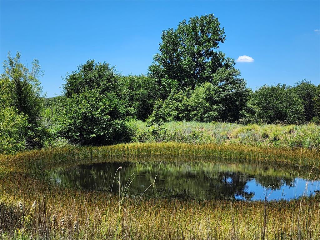 a view of a lake with a yard