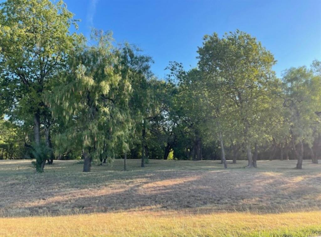 a view of a backyard with large trees