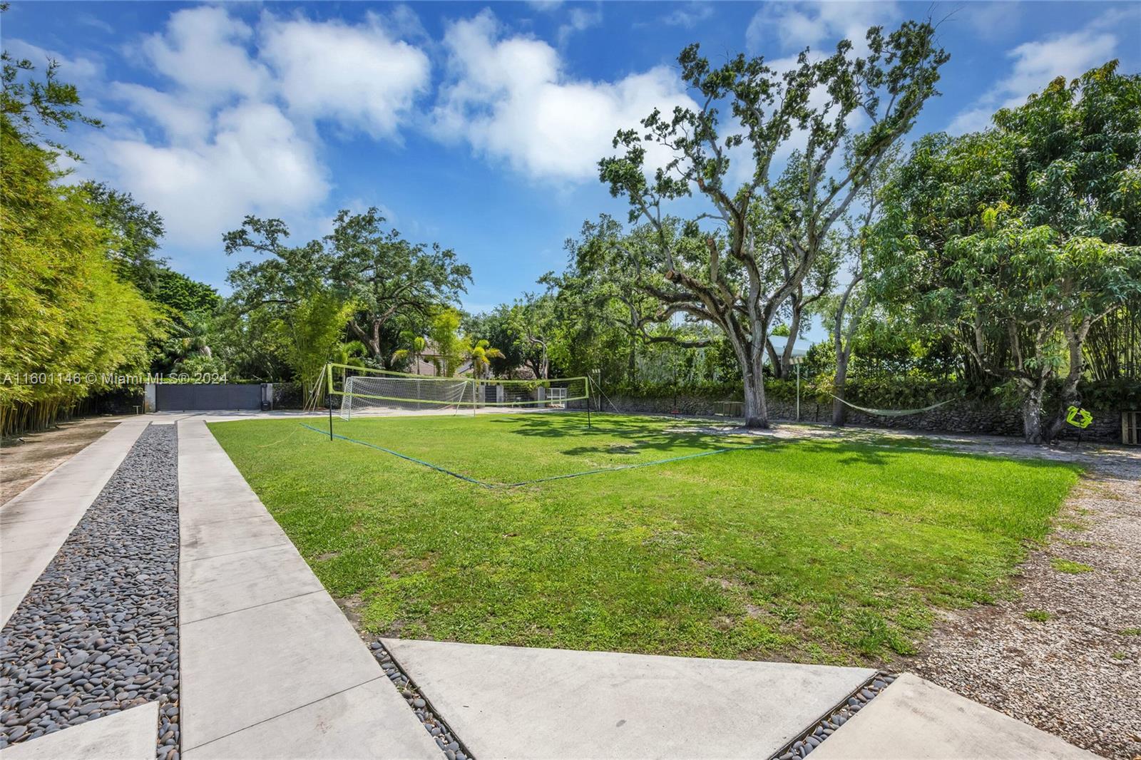 a view of a park with large trees