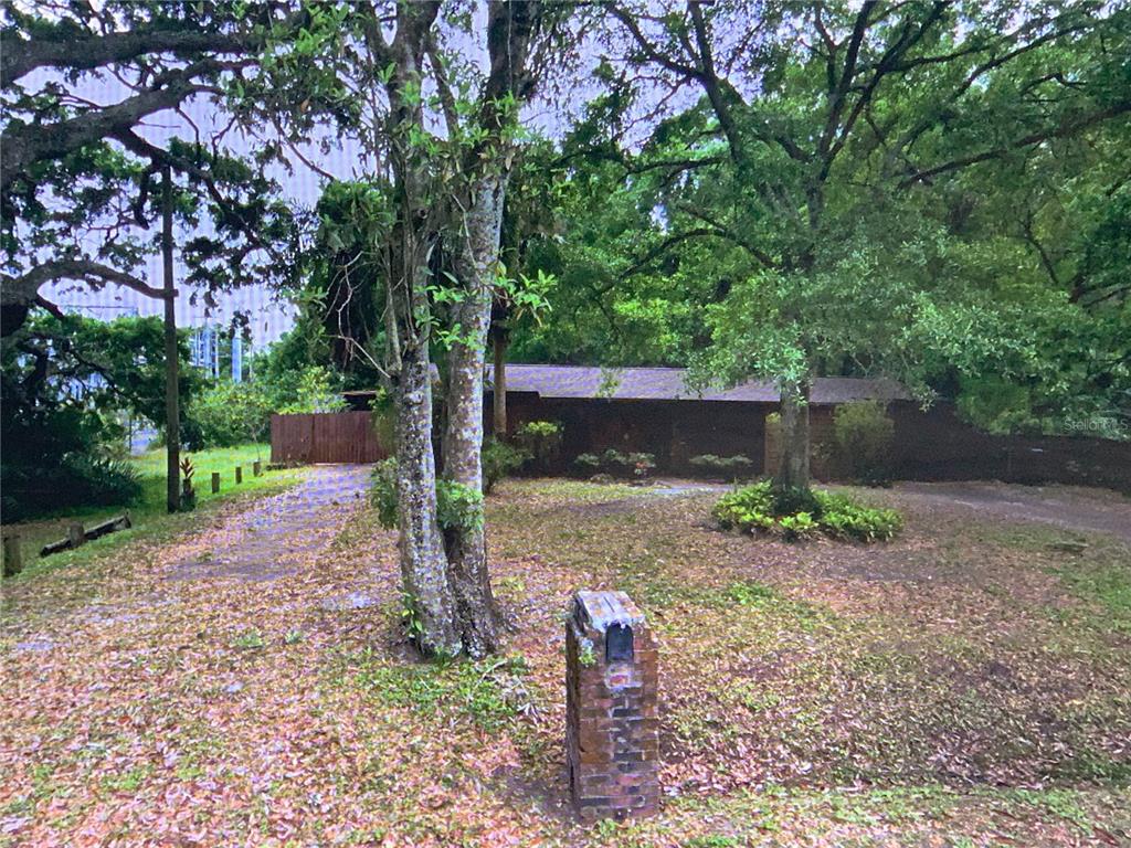 a view of a yard with plants and a tree