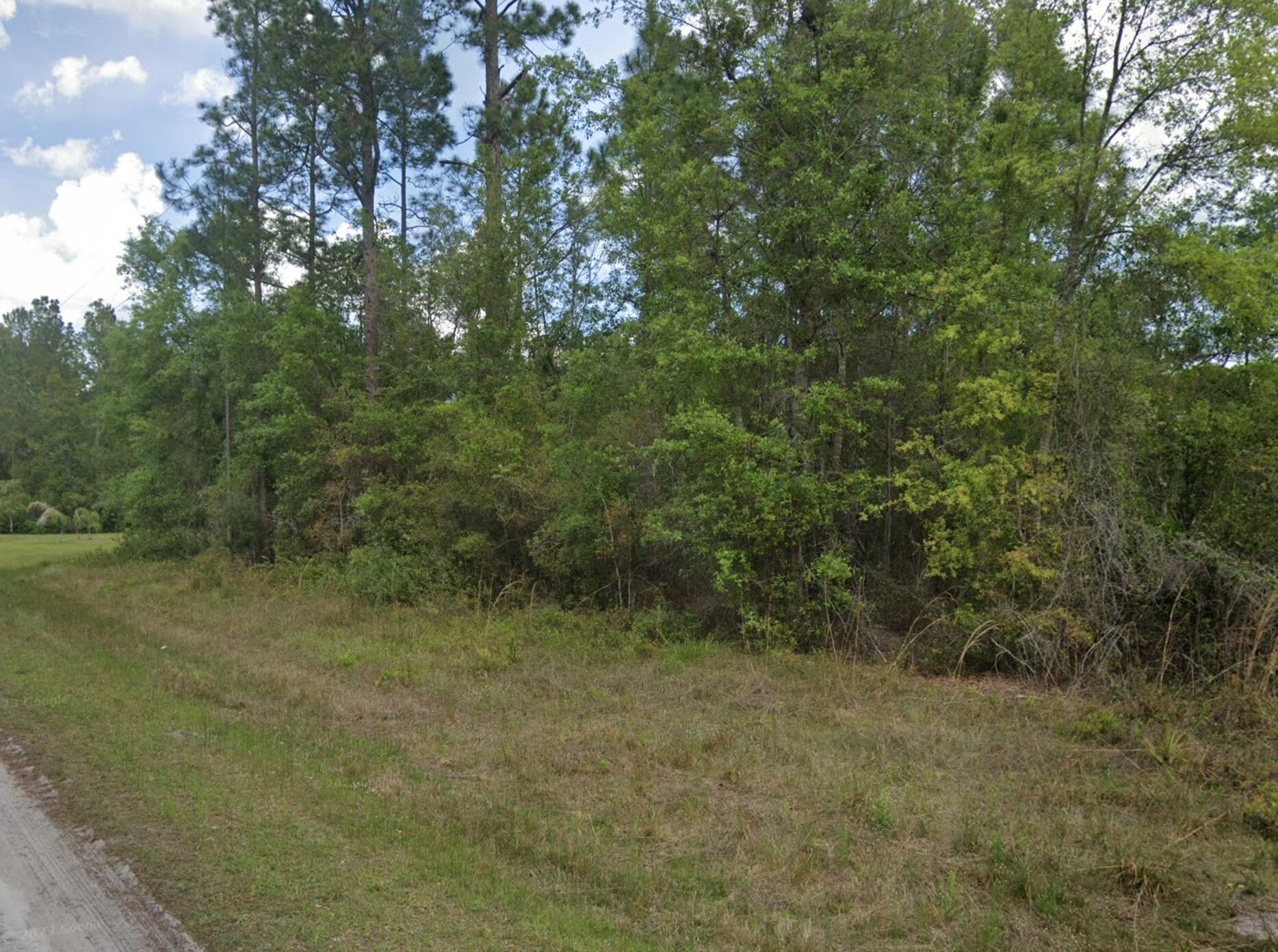 a view of a yard with a tree