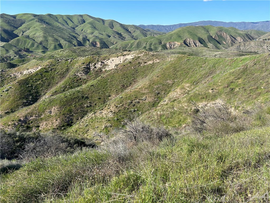 a view of a mountain range with lush green forest