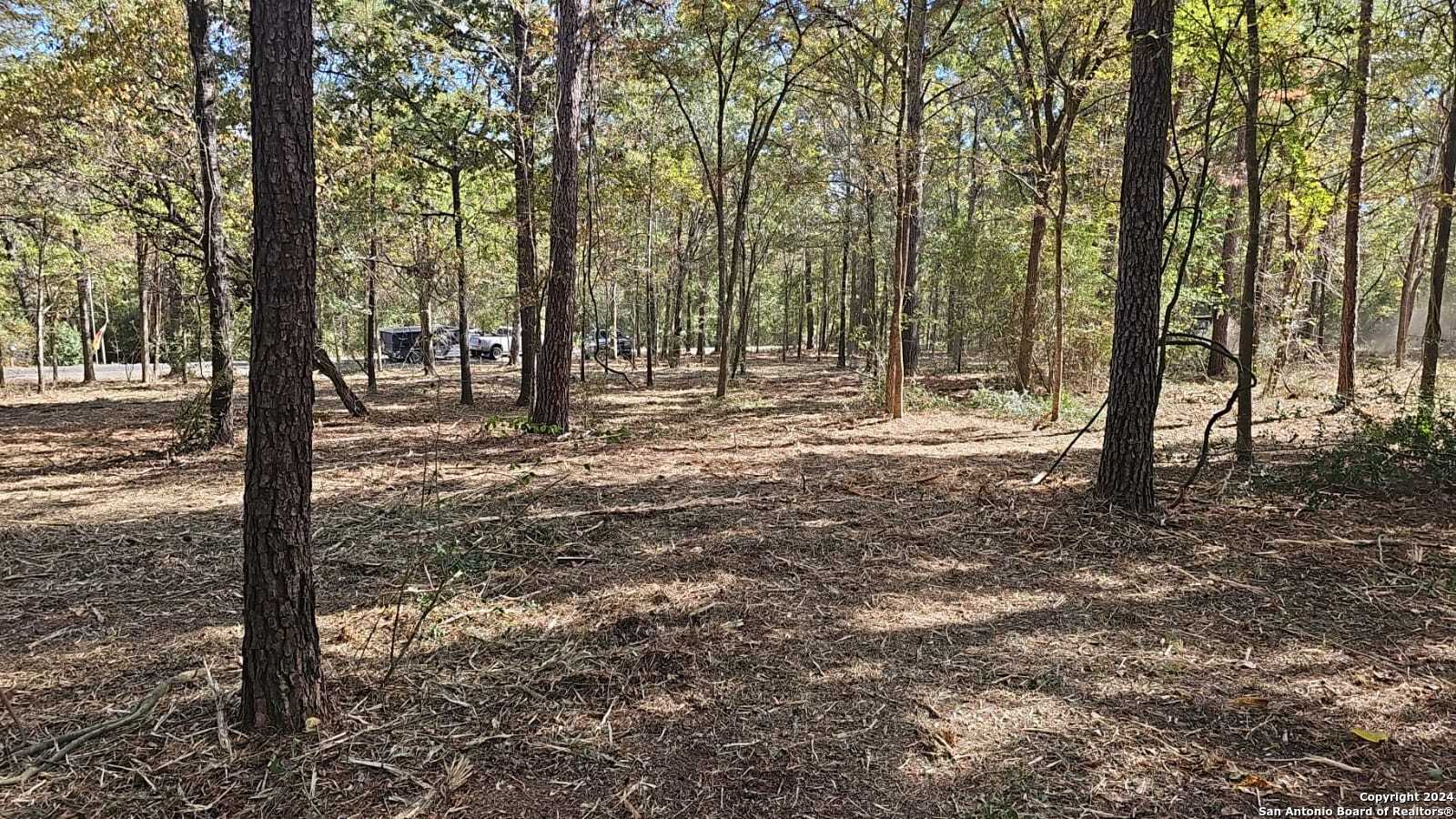 a view of a yard with trees