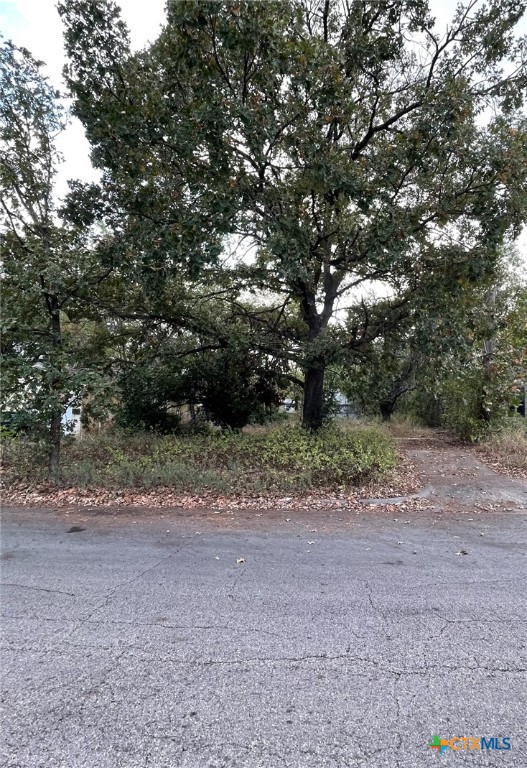 a view of dirt yard with a trees