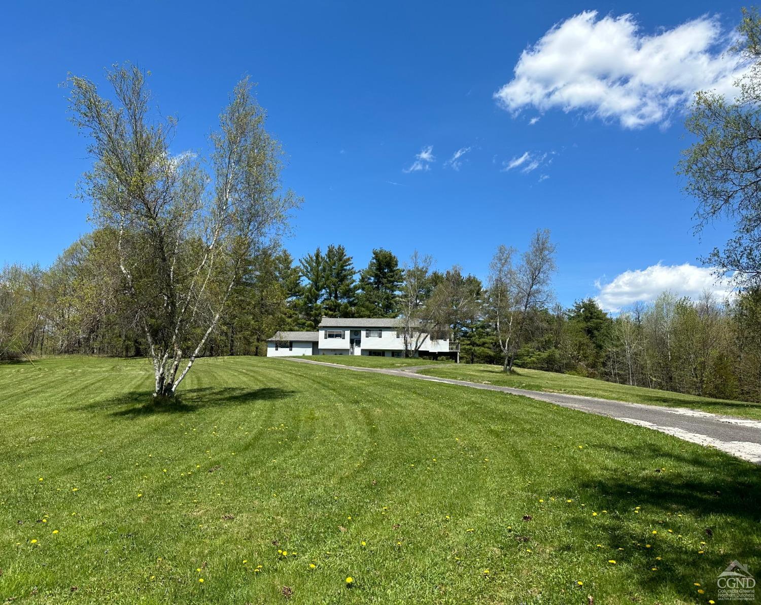 a view of a big yard with a house in the background