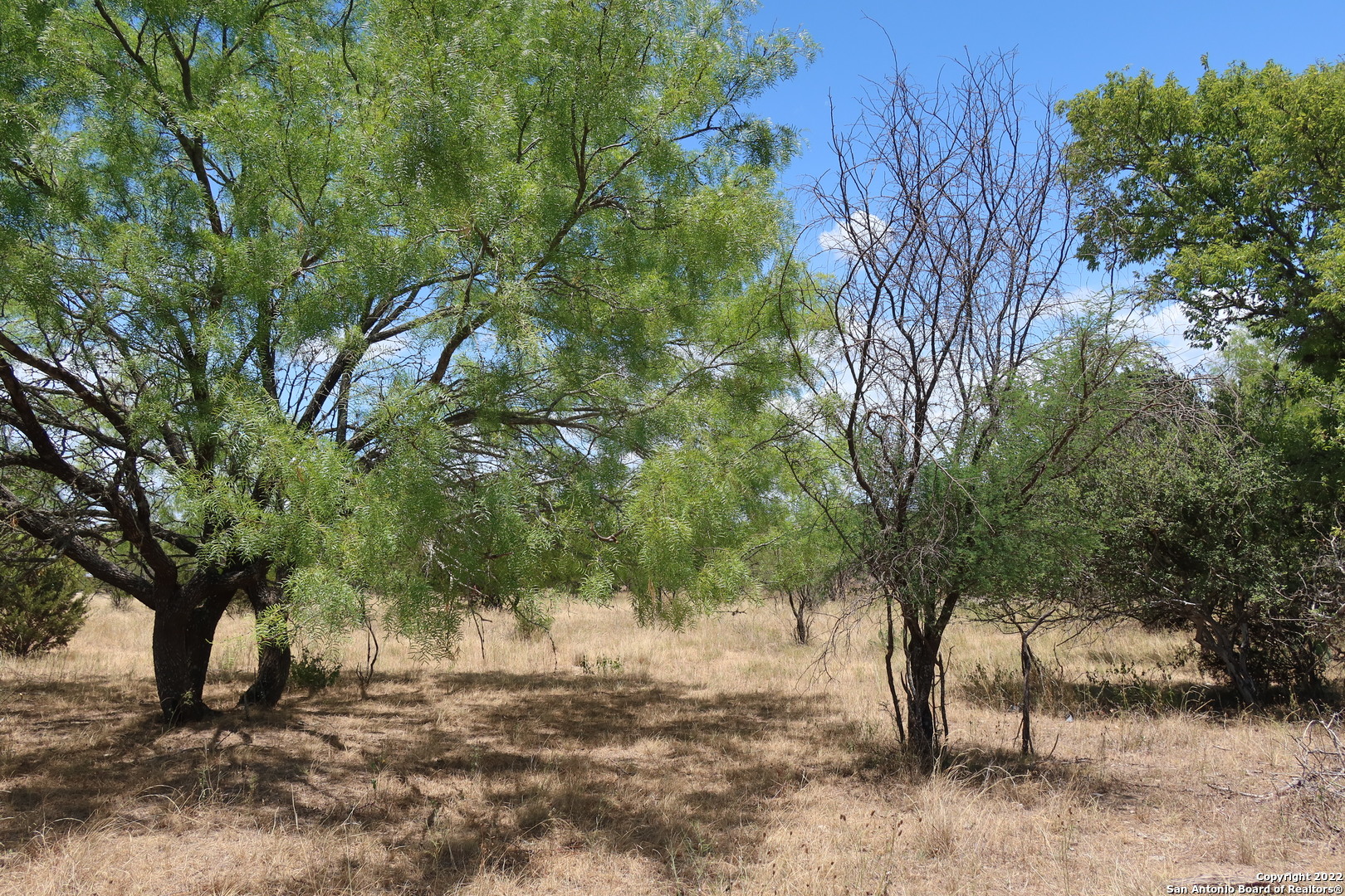 a view of backyard with green space