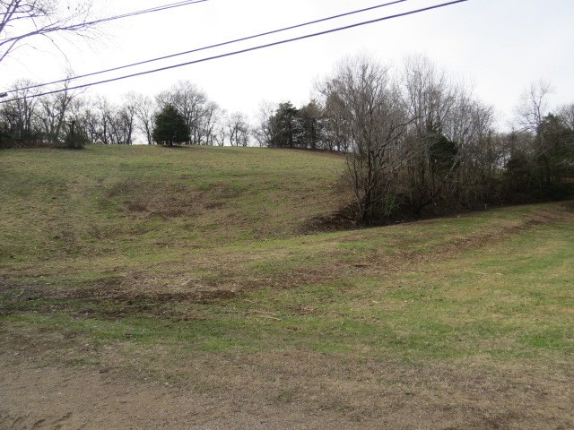 a view of a yard with large trees