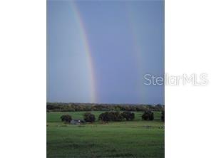 a view of a green field