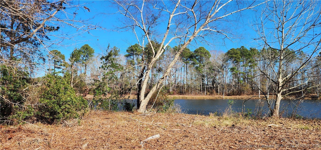 a view of lake with a tree