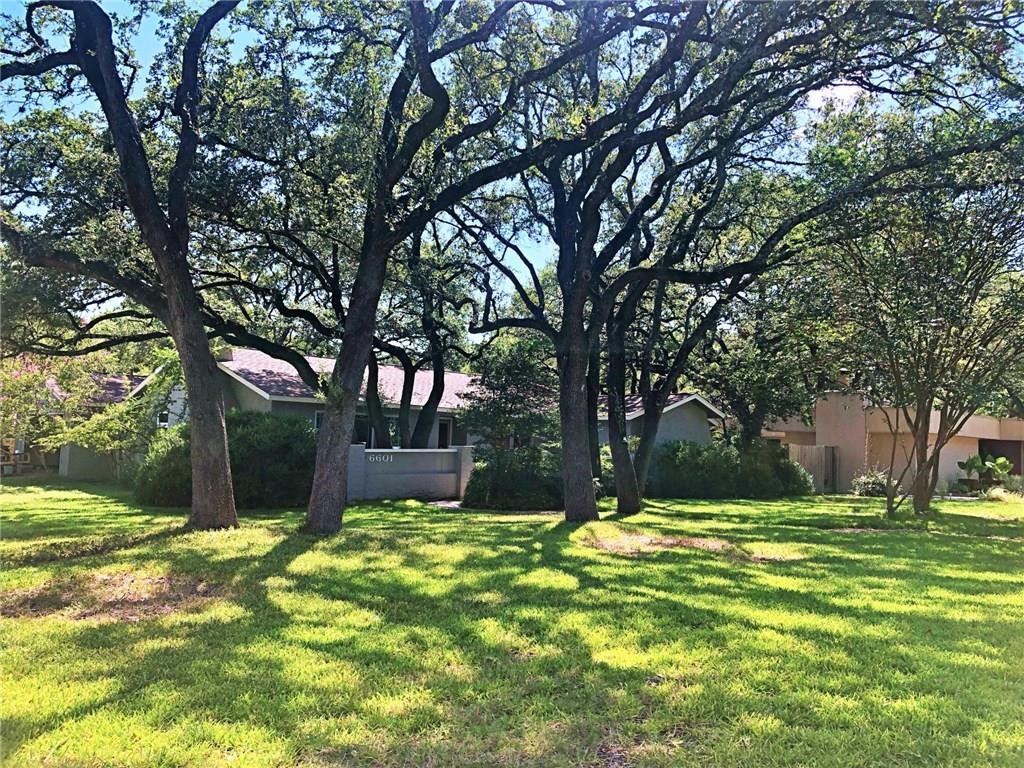 a view of a backyard with a tree