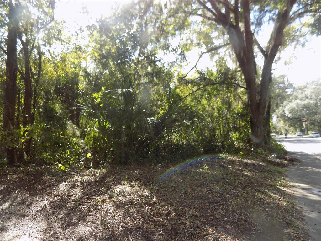 a view of outdoor space and trees