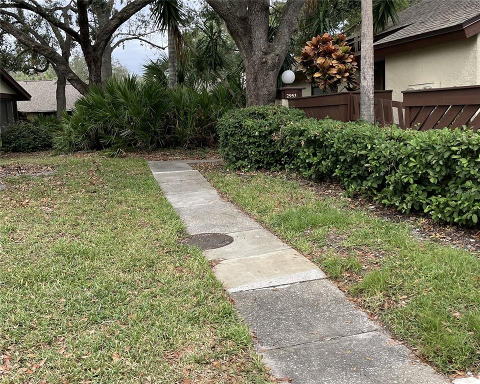 a view of backyard with garden