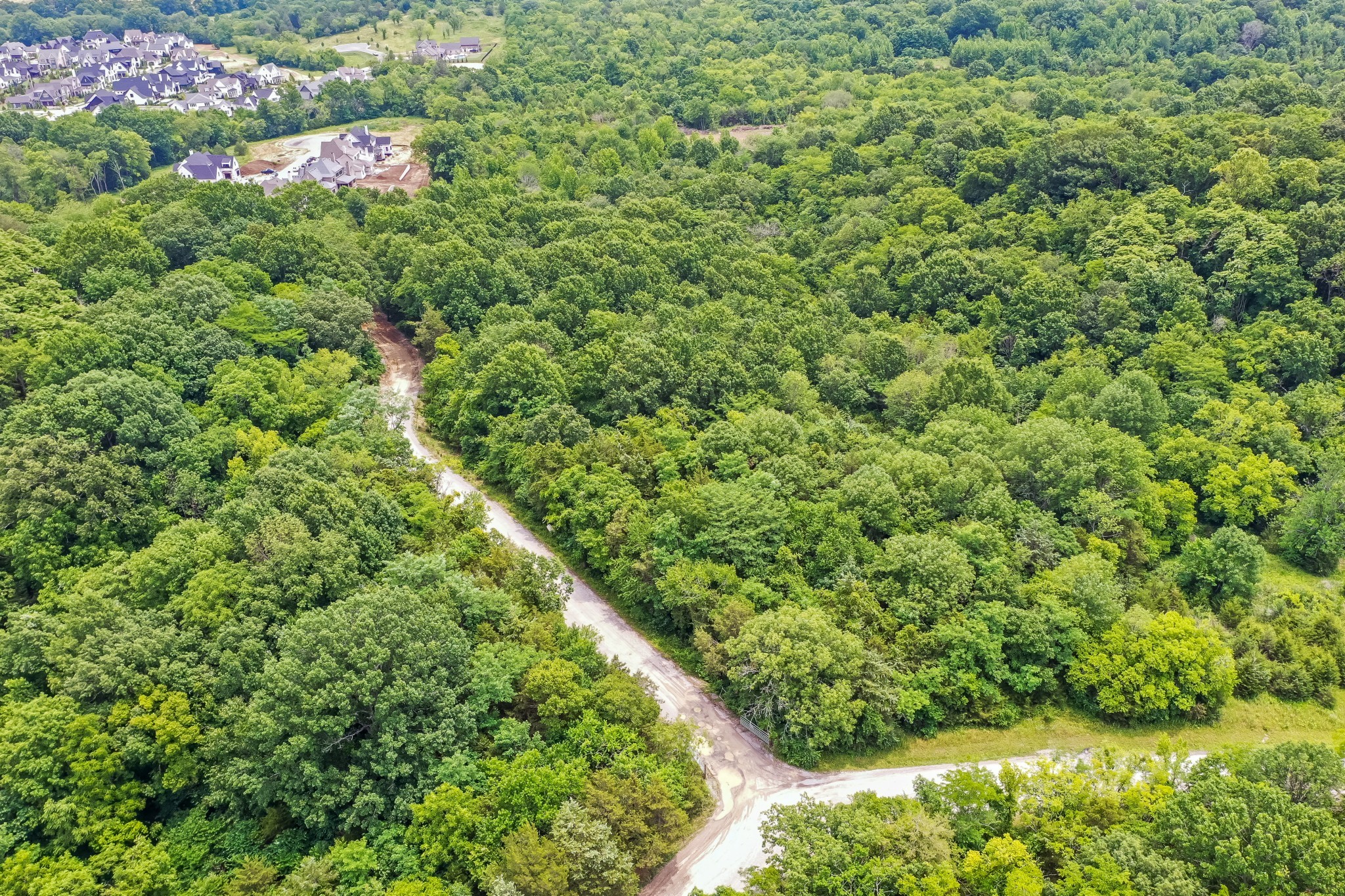 a view of a lush green forest with lots of trees