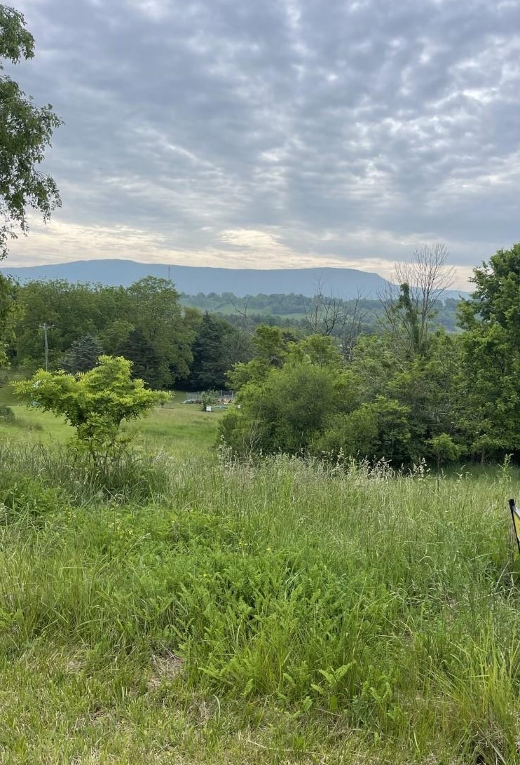 a view of a lake with a yard